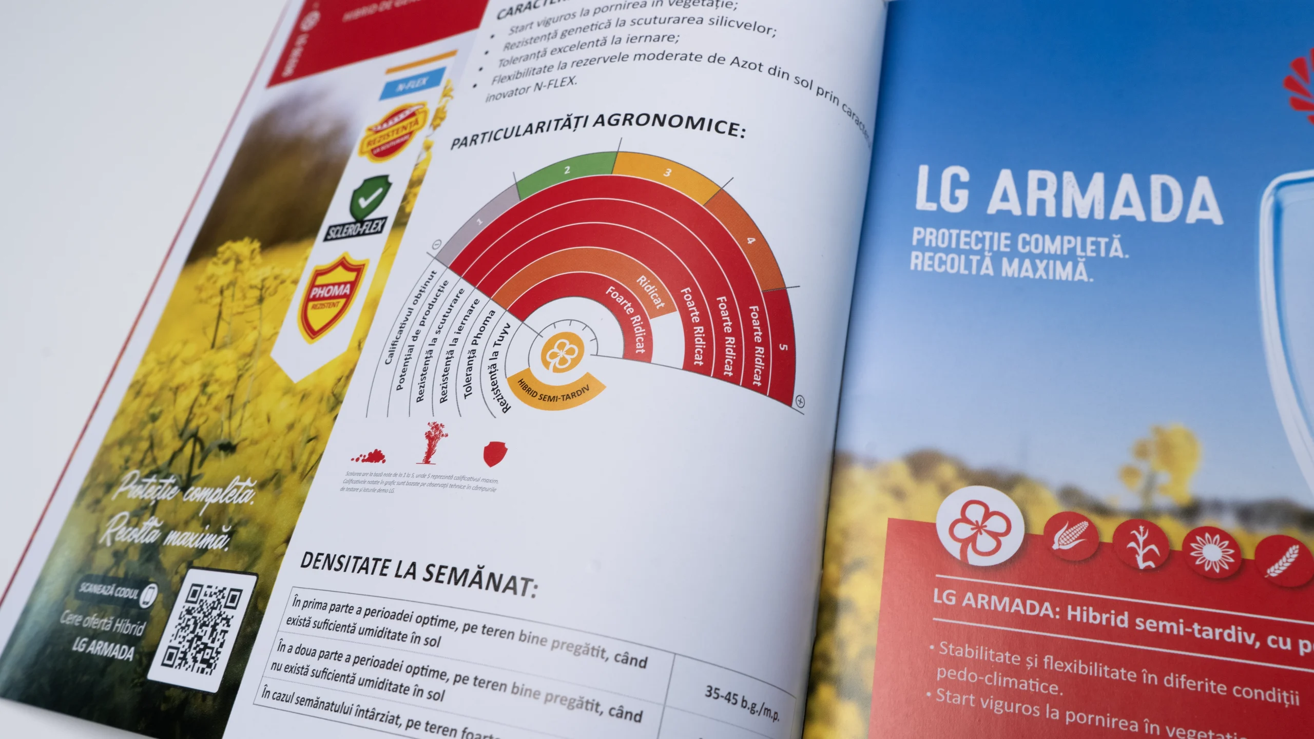 broșuri capsate tipărite profesional pentru companii